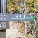 오동수 화장실 이미지