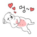 미자애견 이미지