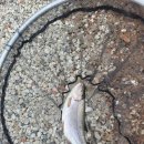 전곡낚시터 이미지