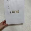 새들천 | [디올/Dior] 롯데백화점 본점에서 오블리크 새들 카드지갑 구매 및 사용 후기
