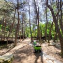 송정자연휴양림야영장 이미지