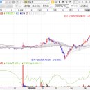 11530-19-01 이미지