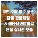 군청 메타세콰이어길 | 담양 관방제림·메타세콰이어길 단풍 실시간 모습 | 11월 13일 방문후기