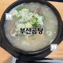 짭구 | 속까지 든든한 부산곰탕 내돈내산 후기