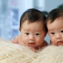 산본제일병원 이미지