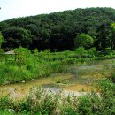 초막골 생태공원 이미지