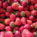 석교농장 이미지