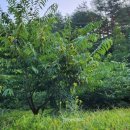 논골농장 이미지