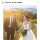 오페라인제주 스튜디오 | [W3] 더숲 스튜디오 계약 후기(팔레드오페라 제휴 업체)