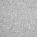 울산에스동물메디컬센터 이미지