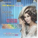 최정원의 뮤지컬 갈라콘서트 이미지