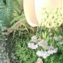 월계 농장 이미지