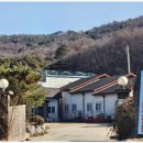 고양이행복쉼터