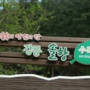 하조대에코하임펜션