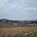 홍성공인중개사사무소 이미지