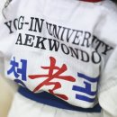 용인대파란태권도 이미지