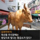 우시장 조형물 이미지