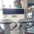 파워라인댄스 이미지