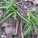 푸른소아청소년과의원 이미지