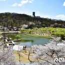 북서울꿈의숲 이미지