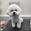 사랑해똥깡아지 이미지