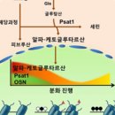 동아자재 이미지