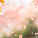 솔라시도한방병원 이미지