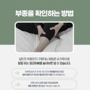 코끼리한의원 티스토리