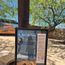 모란각 | [미국여행기] 조슈아트리 국립공원에 가다!(feat. 모란각에서 냉면 냠냠 후기)