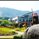 한국압화박물관 이미지