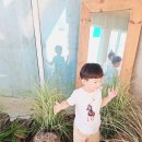 무주주유소 | 전북 무주 별서담 독채 풀빌라 아이랑 여행 온수풀 펜션