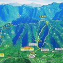 동해시-8 이미지