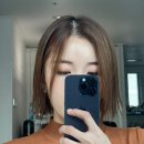 단발병와서 테슬컷으로 자른 후기