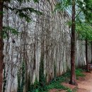 서면愛굴다리벤치길- 이미지