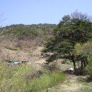 대규농장 이미지