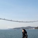 당항 이미지