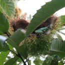 근용농장 이미지