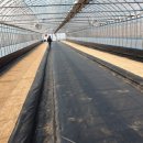 천금목장 이미지