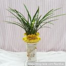 구지면 행정복지센터 이미지