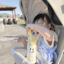 미미데코 | 유아 텀블러 스트랩 그로미미 데코플레이 어린이집 교사 실사용 후기