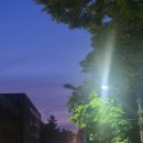 [주간일기] 가끔 내가 너무 지겨울땐. (5/18-5/22)