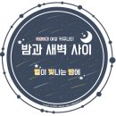 '사무장병원' 차려 139억 가로챈 한의사·환자 등 168명 적발 이미지