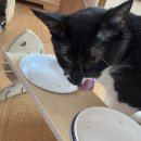 세븐일레븐 용인타운점 | 행복해지고 싶은 사람🙋‍♀️