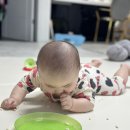 프리와이드 이미지