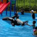 오가네민박 이미지