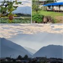 진욱이별장자전거게스트하우스 이미지