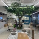 퀘렌시아 애견 이미지