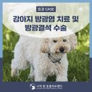 고척원동물의료센터 이미지