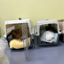 브루하하유치원 이미지