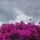 부부합동공인중개사사무소 이미지